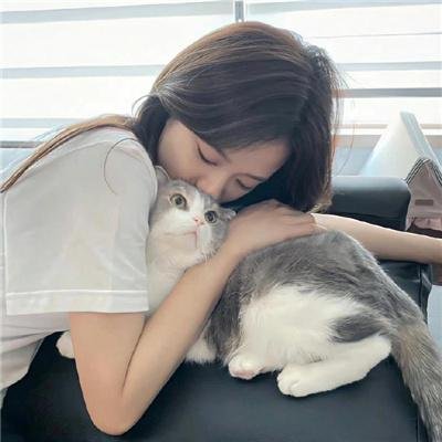 昨夜星辰又逢君